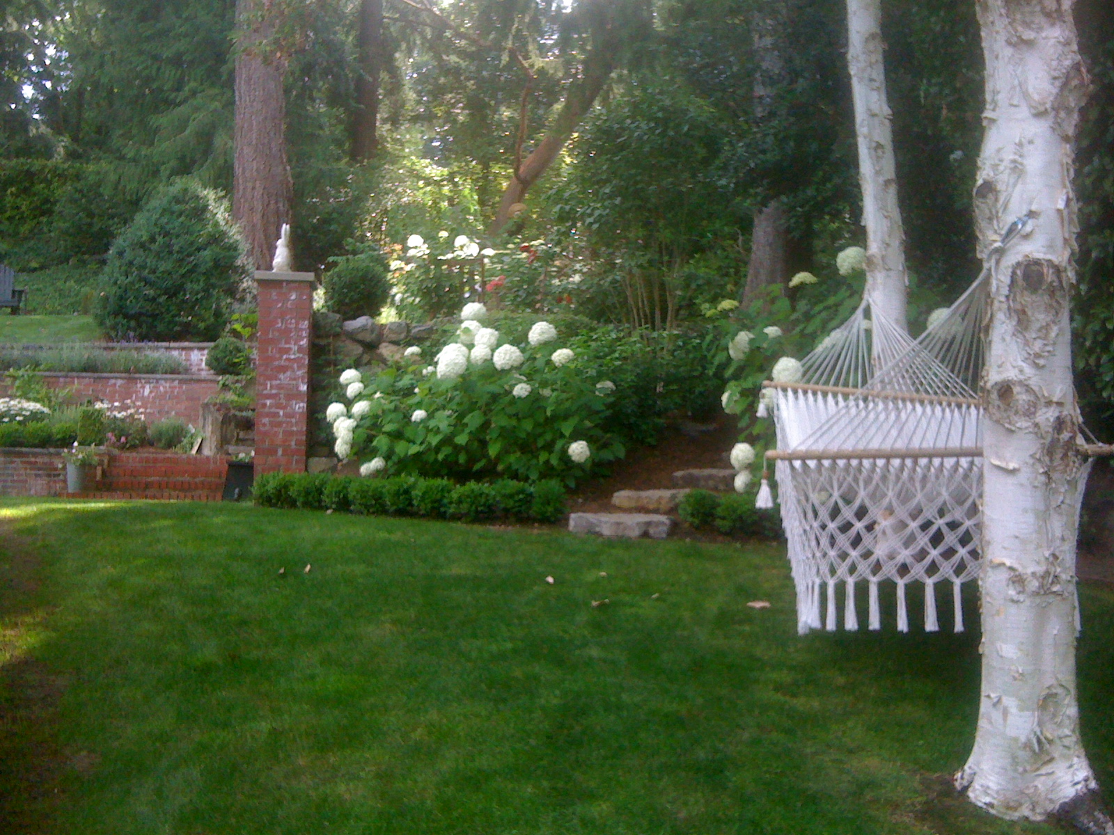 Hydrangea Hammock